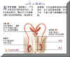 SMRM000Z.JPG (30668 字节)