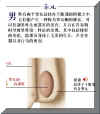 SMHO006Z.JPG (24533 字节)