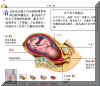 BIRT000M.JPG (43150 字节)
