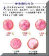 FERT002P.JPG (23582 字节)