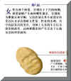 SMHO005Z.JPG (24218 字节)