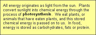 Food as energy